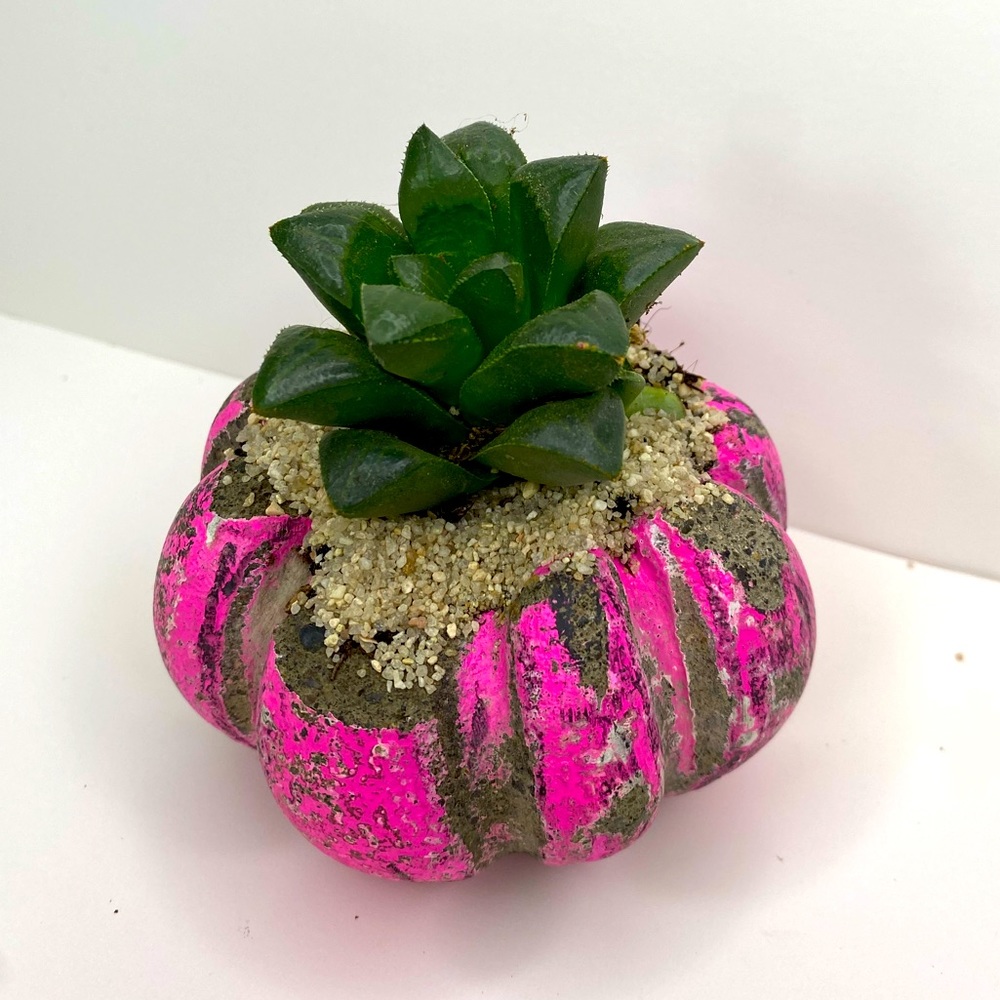 PUMPKIN / PLANTER - Handmade Home Decor